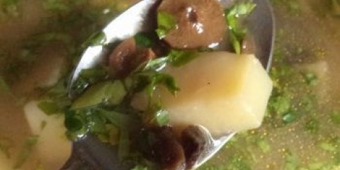 Pileća supa sa šampinjonima i vermičelom: korak po korak recepti sa fotografijama